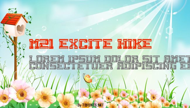 M21_EXCITE HIKE example